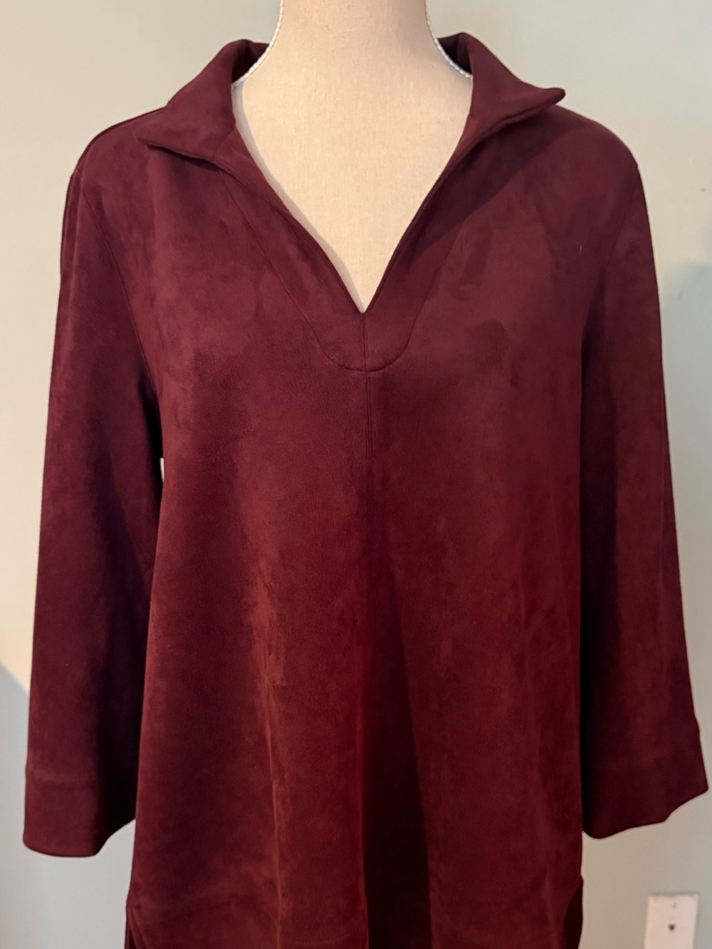 Tuckernuck Burgundy V-Neck Collared Tunic